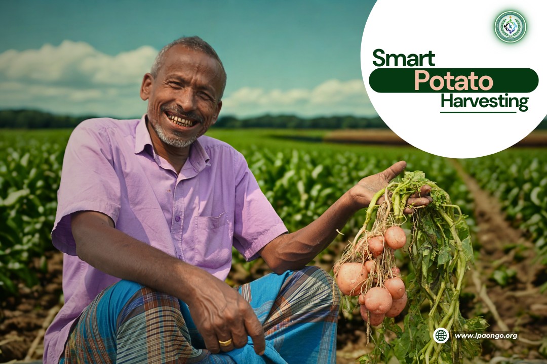 Cultivating a Greener Future: Smart Farming in Bangladesh