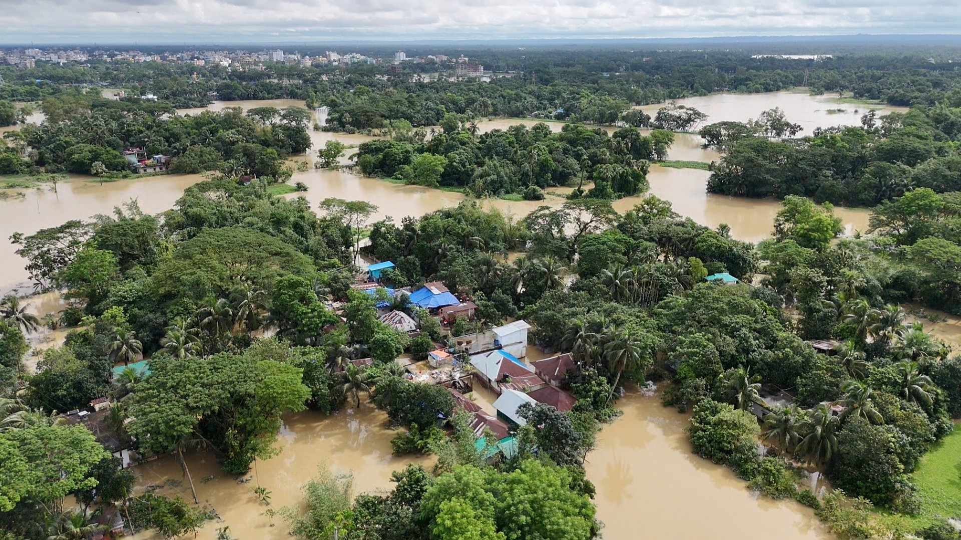 Climate, Nature And Biodiversity