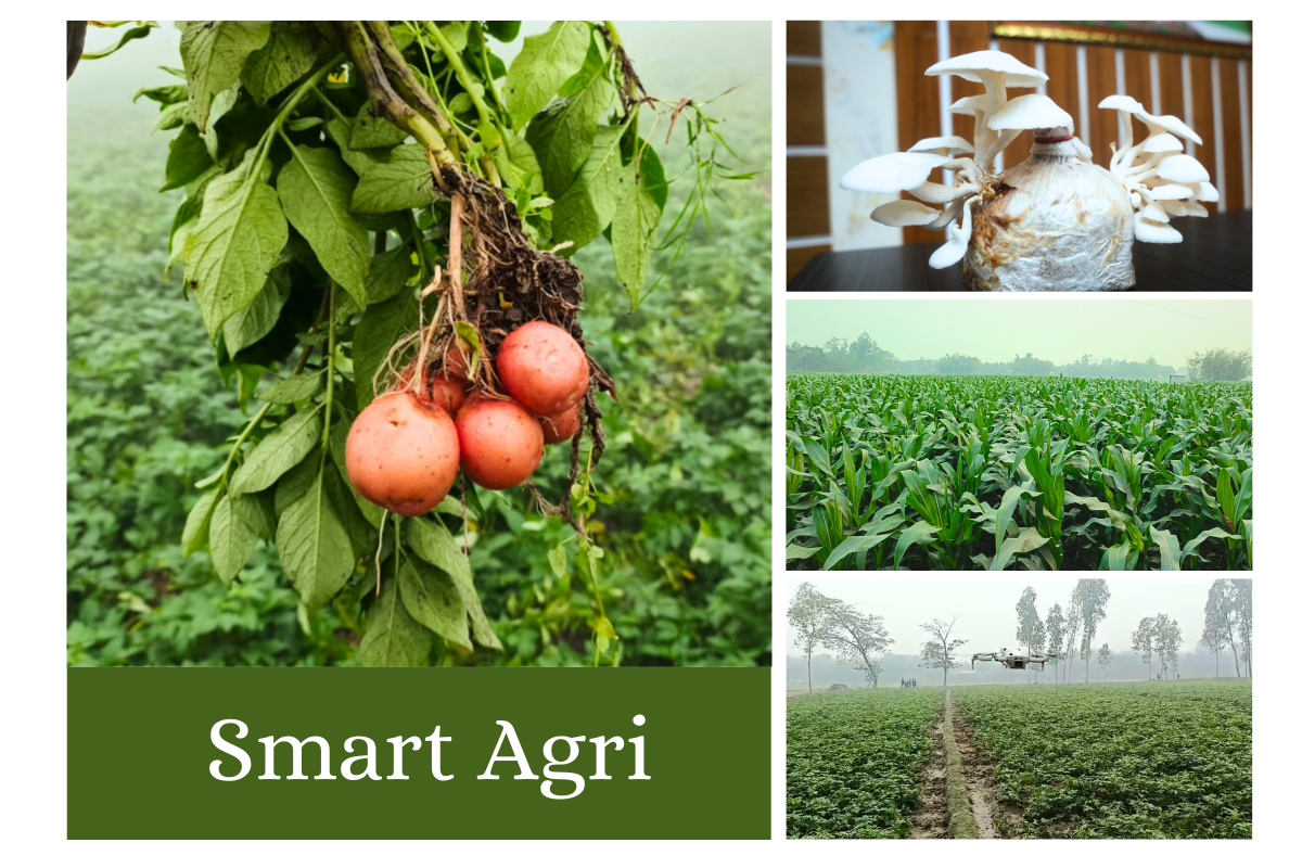 SMART AGRI