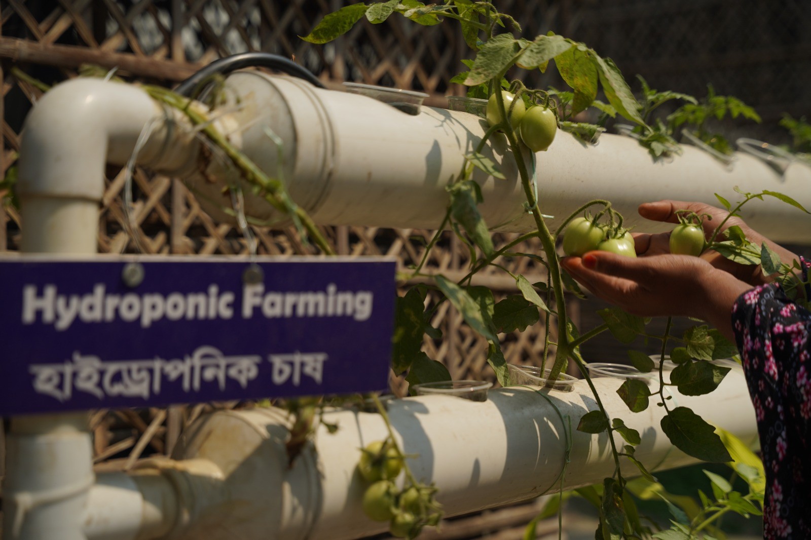 Hydro Agriculture: Smart & Sustainable Farming for the Future